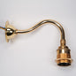 Brass Coventry Bend Swan Neck Wall Light