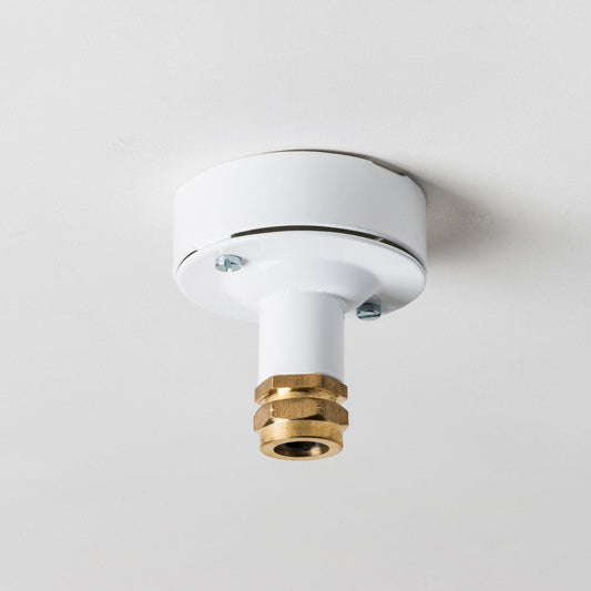 Industrial Ceiling Rose with Brass Gland - All Colours - Lightspares